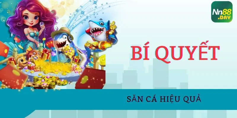 bi-quyet-san-ca-hieu-qua